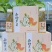 茉莉西柚小箱饮料工厂发货招经销商代理商