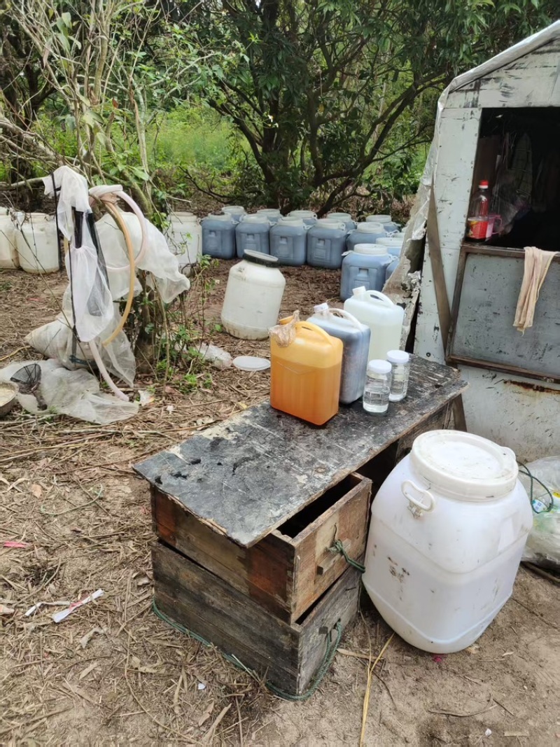 蜂蜜荔枝龙眼蜂蜜原蜜基地直发品质保证供应全国市场