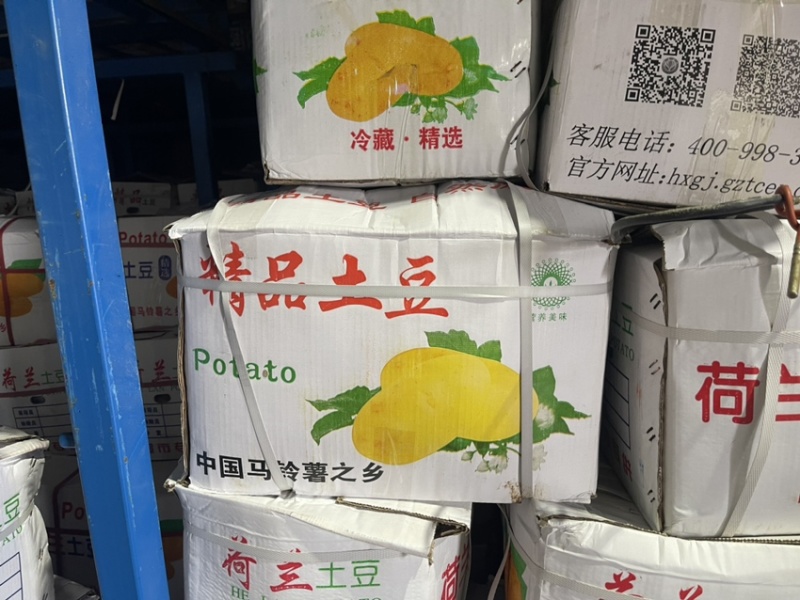 荷兰十五土豆、质量好、便宜出售！三两以上！