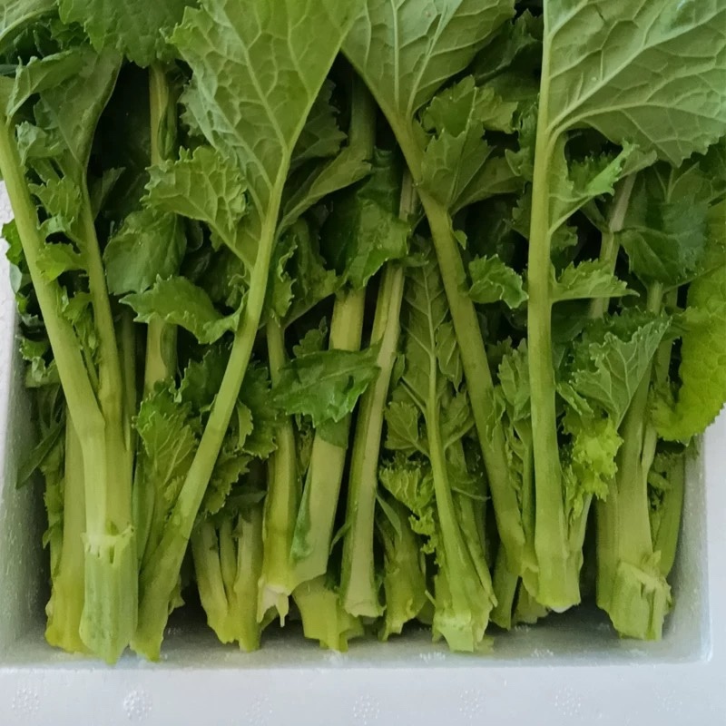 恩施油菜苔