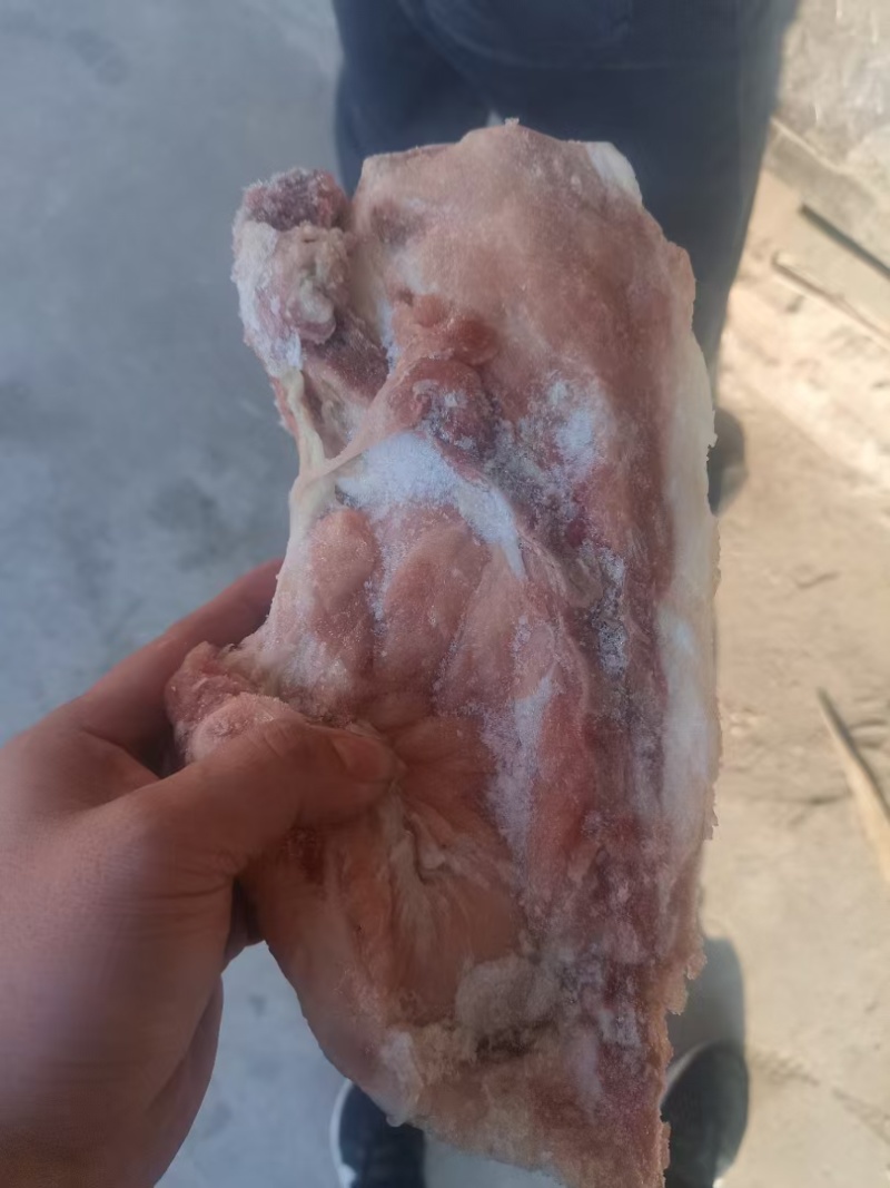 肥猪叉骨