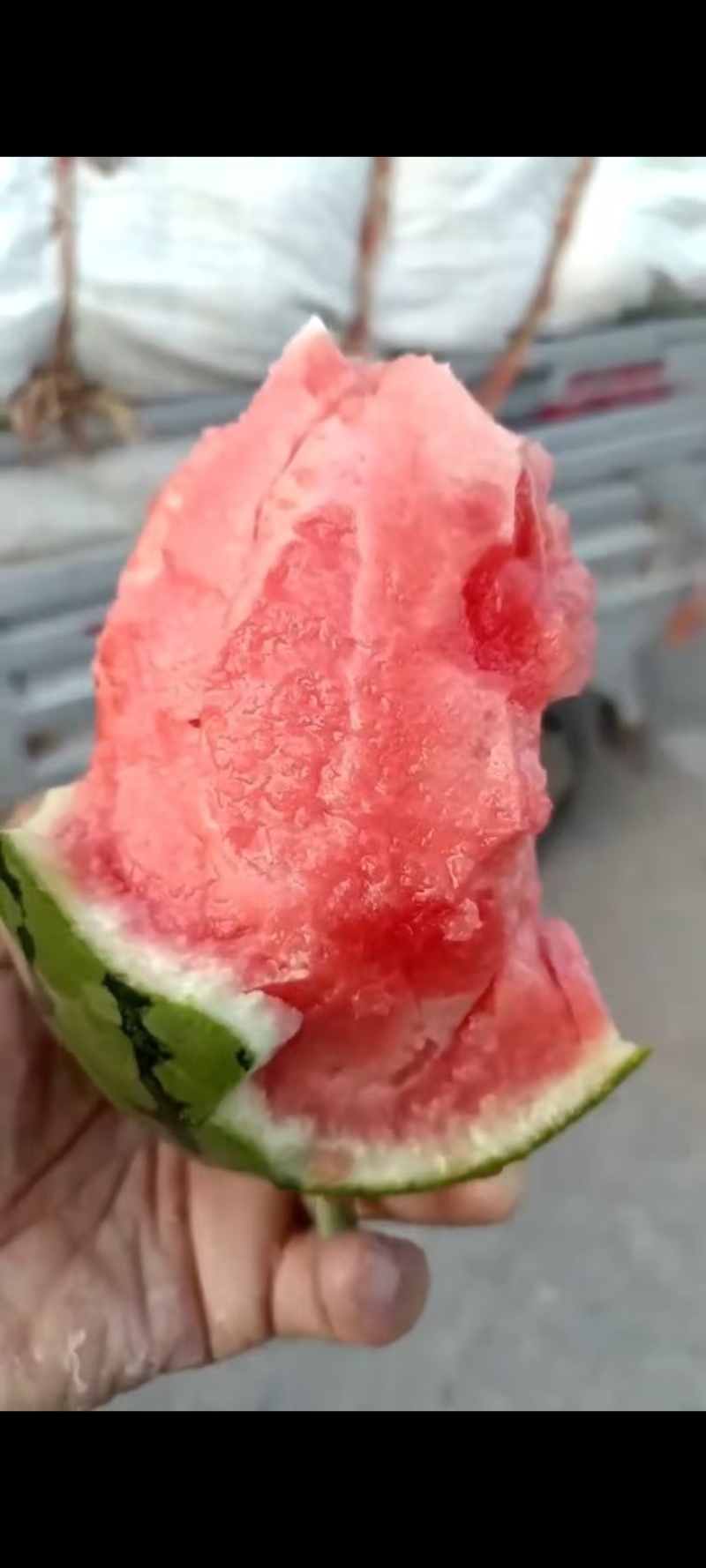全美2K西瓜，手撕瓜，糖份高，个个保熟，货源充足
