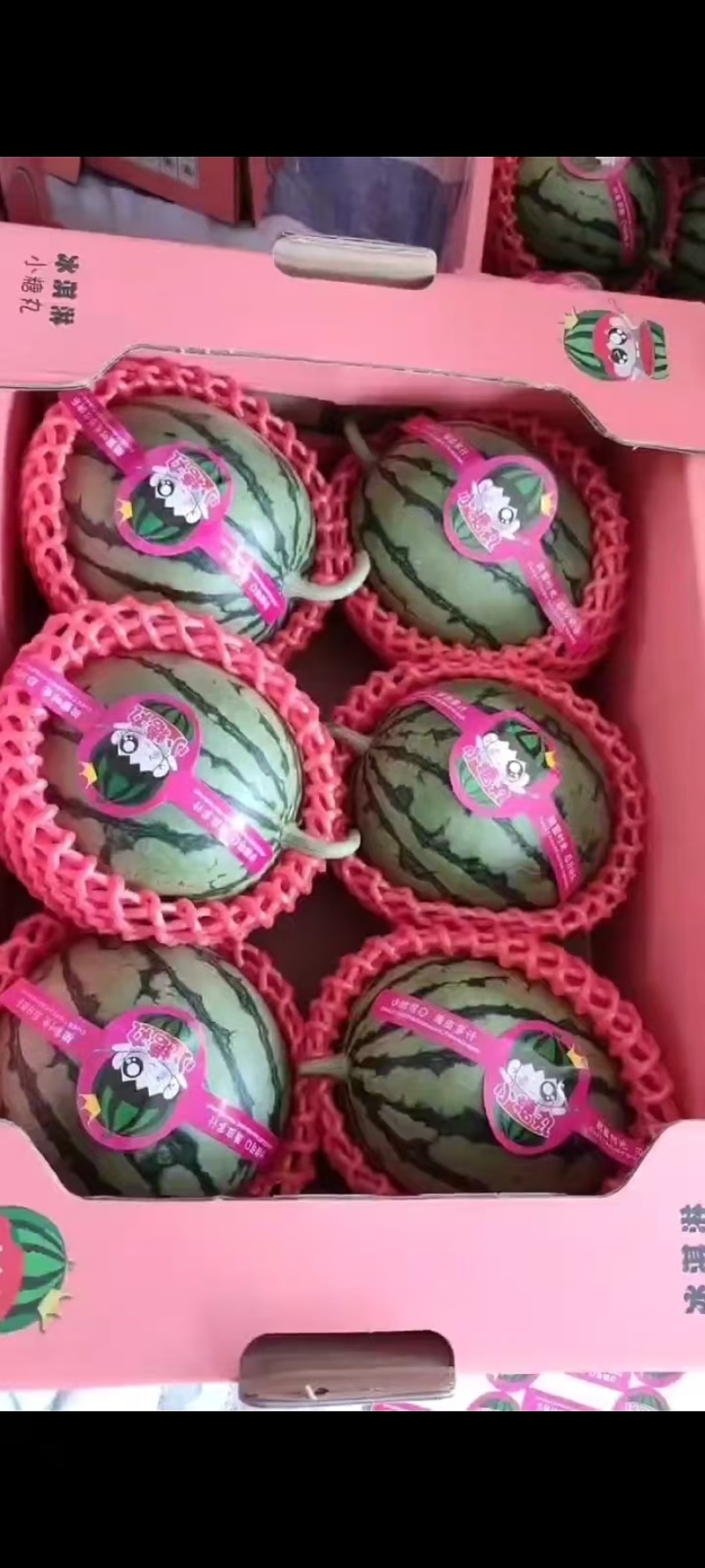 全美2K西瓜，手撕瓜，糖份高，个个保熟，货源充足