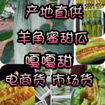 羊角蜜甜瓜，潍坊产地甜瓜，大量现货，不用等，人工包装齐全