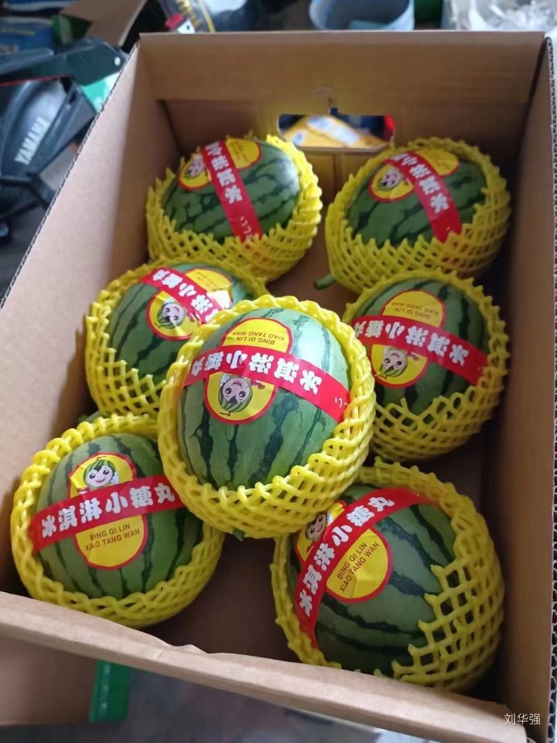 礼品小西瓜有需要的老板和我联系