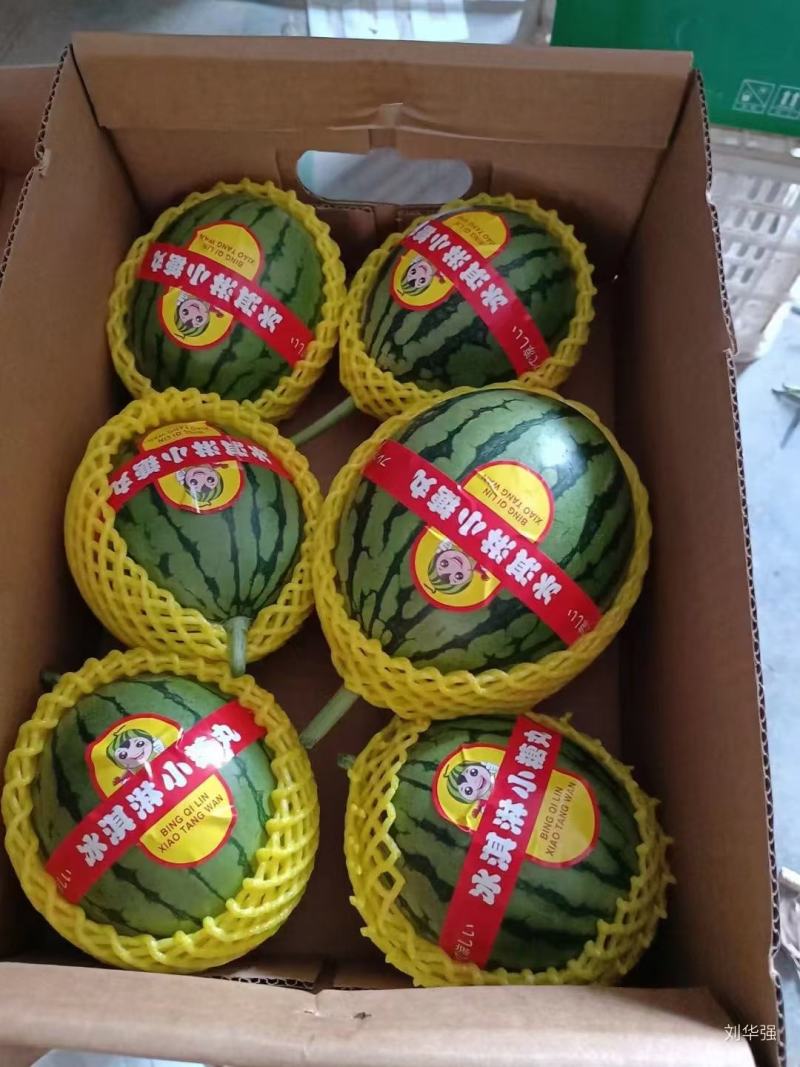 礼品小西瓜有需要的老板和我联系