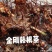 金刚藤根大量供应