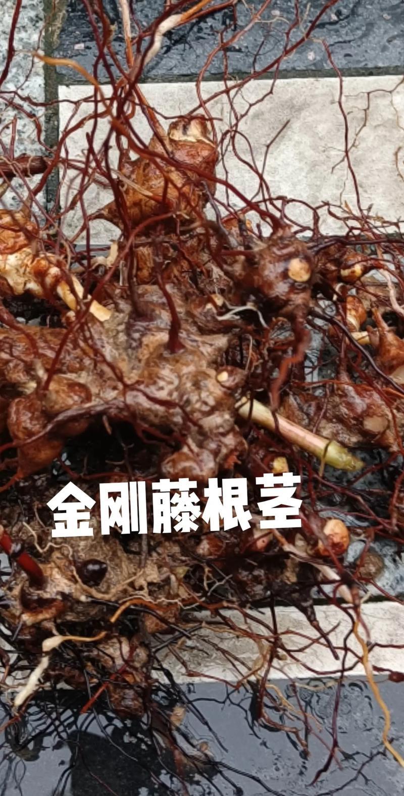金刚藤根大量供应