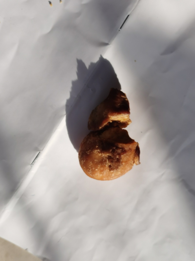 鸡宝；有想收购的老板请和我联系***********