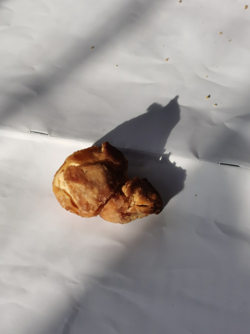 鸡宝；有想收购的老板请和我联系***********