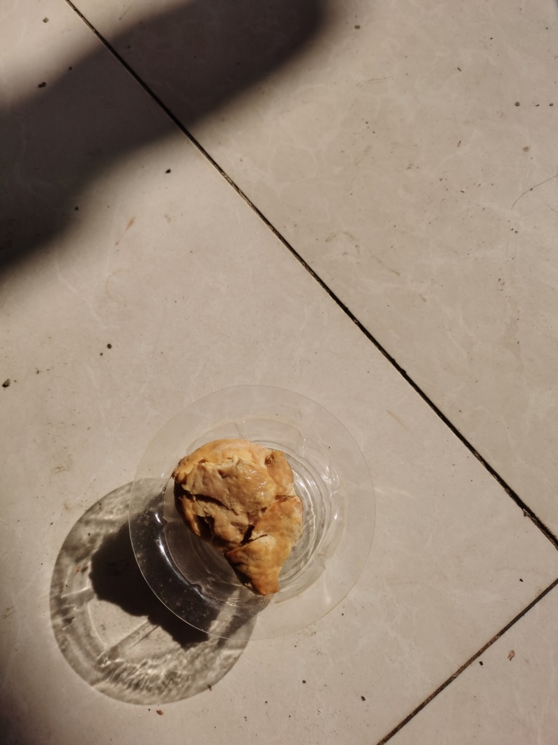 鸡宝；有想收购的老板请和我联系***********