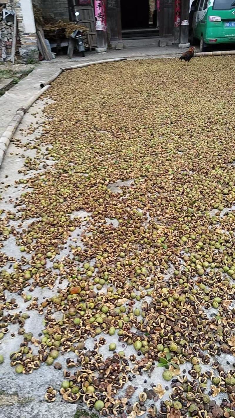 江西纯山茶油