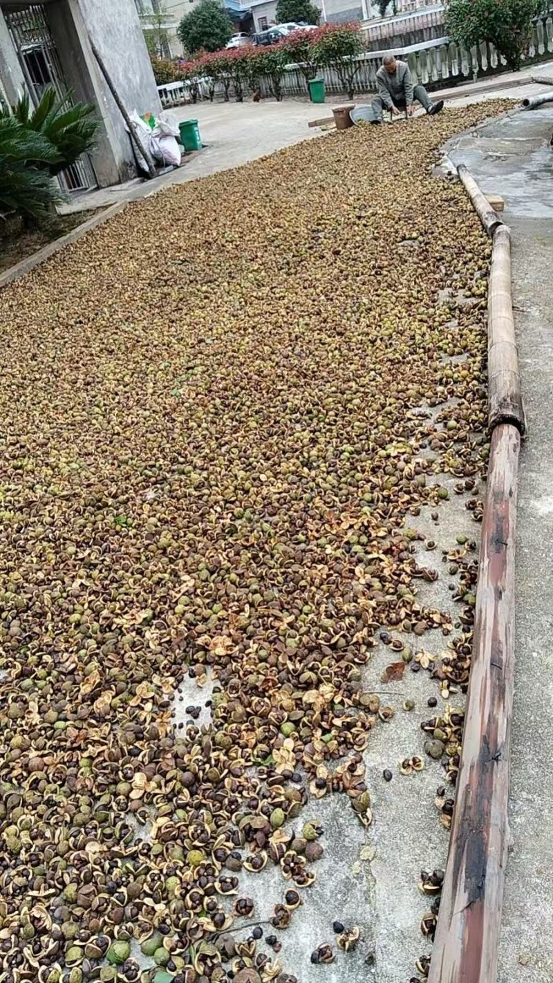 江西纯山茶油