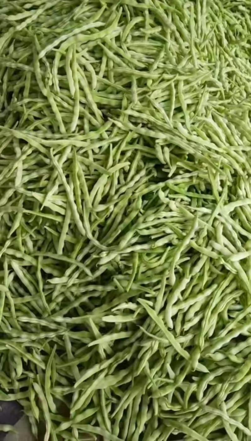 优质芸豆产地直发，一手货源，，诚信经营，优质的服务态度
