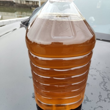 正宗纯正山茶油