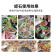 宇鑫蛭石