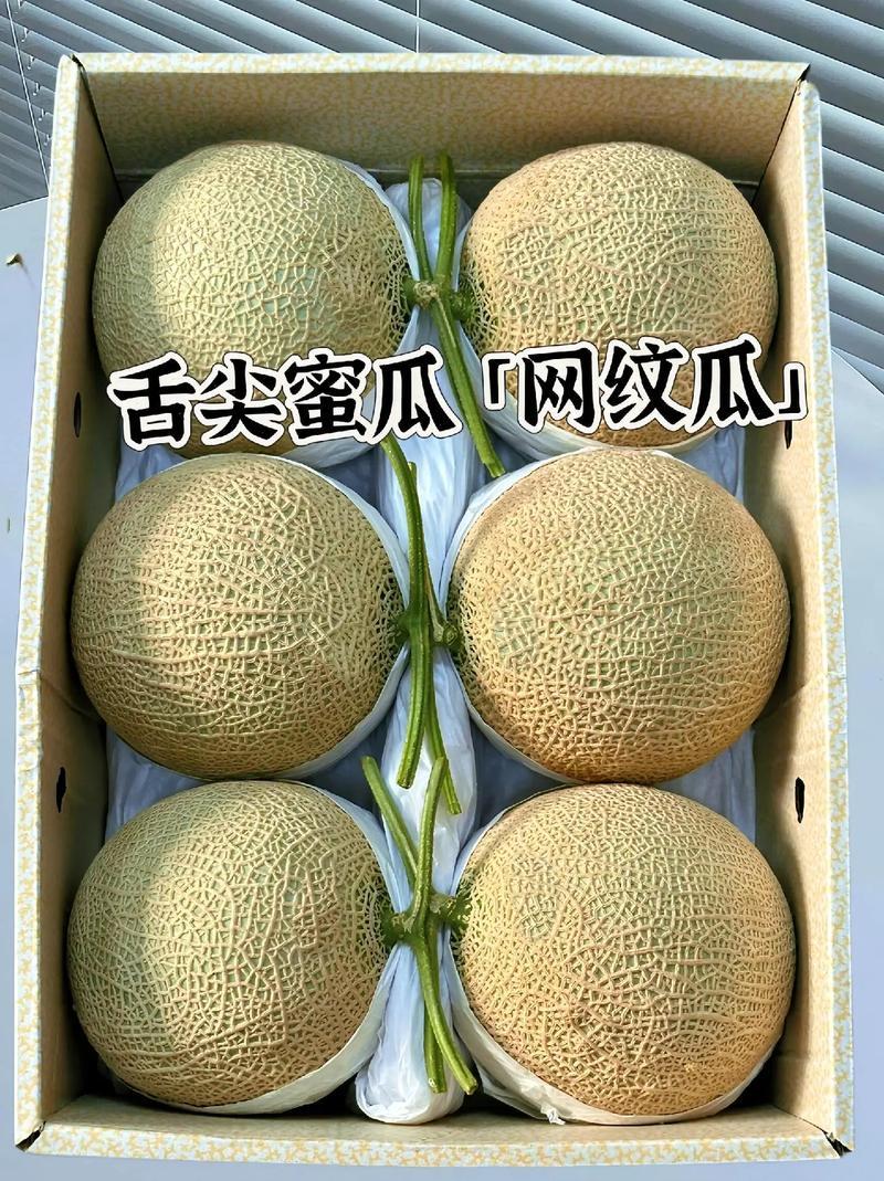 网纹系列