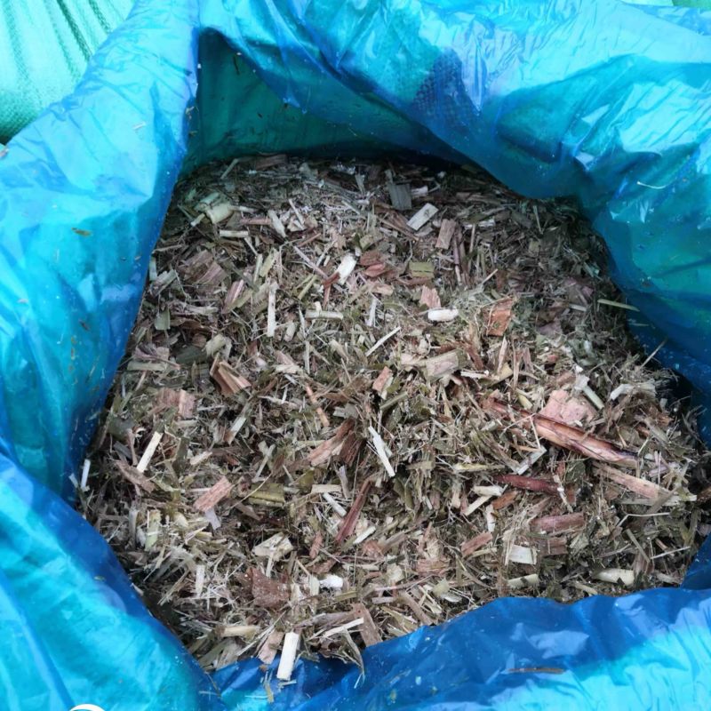 【牛商推荐】青贮草料，巨菌草大量供应，厂家直发