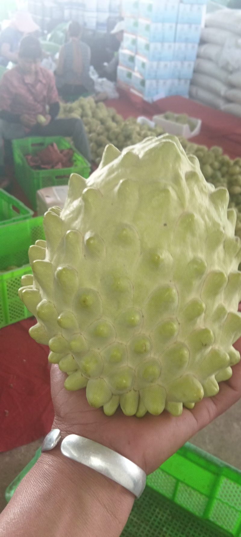 释迦