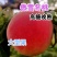 优质傲雪冬桃树苗,晚熟冬桃新品种,改写冬季无桃历史