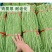 善高早玉豆角种子蔬菜籽搭架子特早熟浅色爬藤长豇豆顺直春秋
