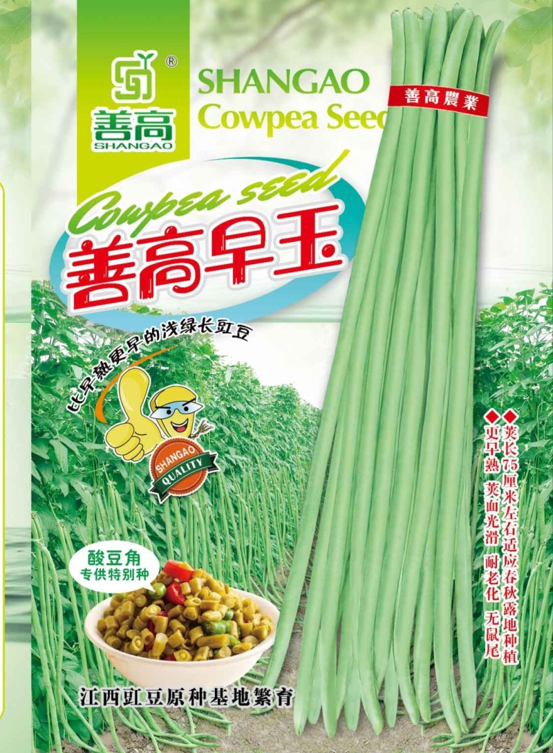 善高早玉豆角种子蔬菜籽搭架子特早熟浅色爬藤长豇豆顺直春秋