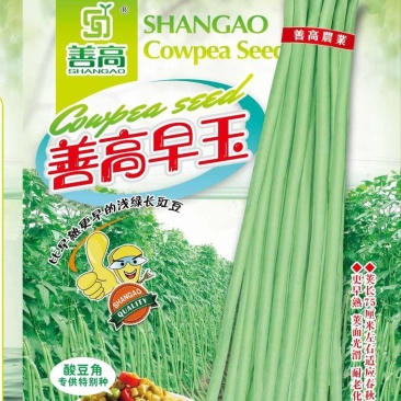 善高早玉豆角种子蔬菜籽搭架子特早熟浅色爬藤长豇豆顺直春秋