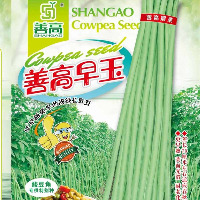 善高早玉豆角种子蔬菜籽搭架子特早熟浅色爬藤长豇豆顺直春秋