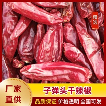 子弹头干辣椒价格优惠现货现发量大从优欢迎下单