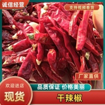 辣椒王辣味十足大量现货价格优惠欢迎电话联系