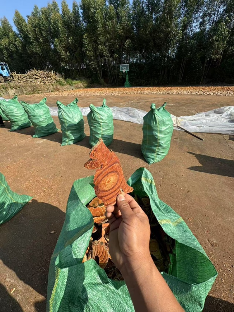 鸡血藤大量有货产地直供品质保证服务周到