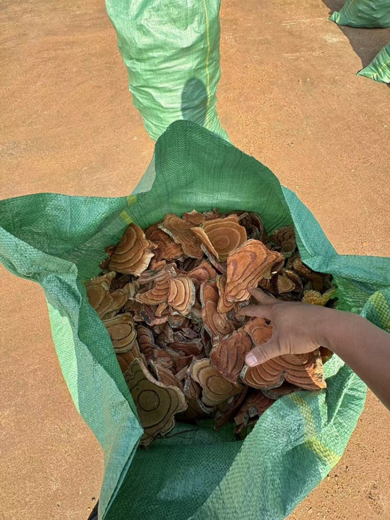 鸡血藤大量有货产地直供品质保证服务周到