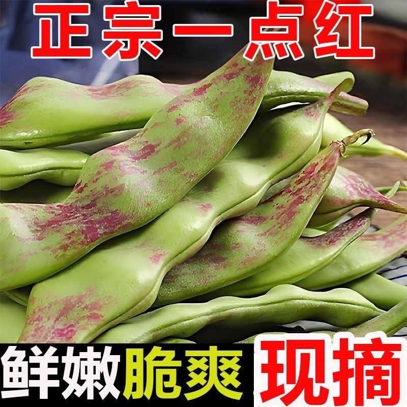 云南一点红油豆角一件代发3斤5斤支持各大平台批发
