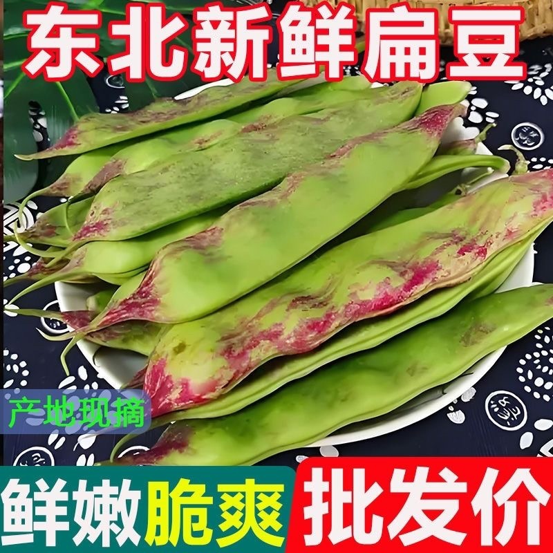 云南一点红油豆角一件代发3斤5斤支持各大平台批发