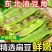 云南一点红油豆角一件代发3斤5斤支持各大平台批发