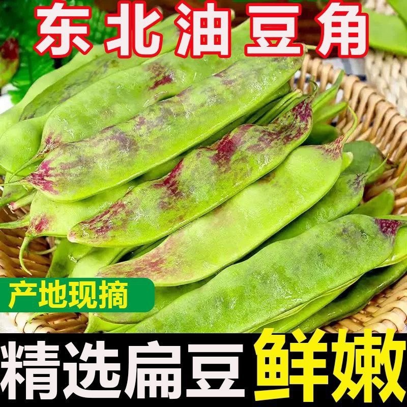 云南一点红油豆角一件代发3斤5斤支持各大平台批发