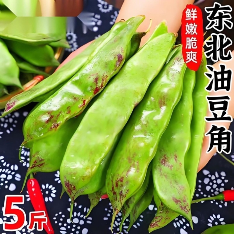 云南一点红油豆角一件代发3斤5斤支持各大平台批发