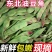 云南一点红油豆角一件代发3斤5斤支持各大平台批发