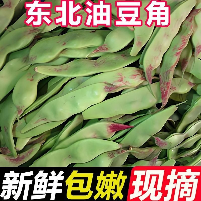 云南一点红油豆角一件代发3斤5斤支持各大平台批发