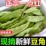 云南一点红油豆角一件代发3斤5斤支持各大平台批发
