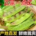 云南一点红油豆角一件代发3斤5斤支持各大平台批发