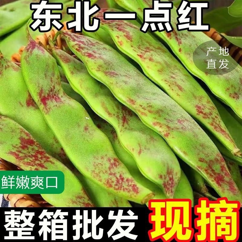 云南一点红油豆角一件代发3斤5斤支持各大平台批发