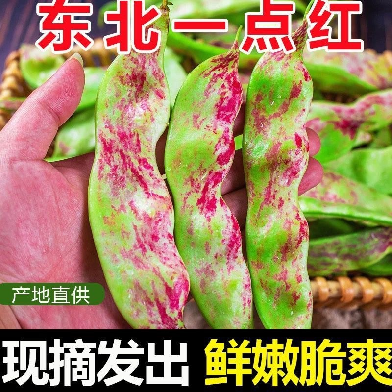 云南一点红油豆角一件代发3斤5斤支持各大平台批发