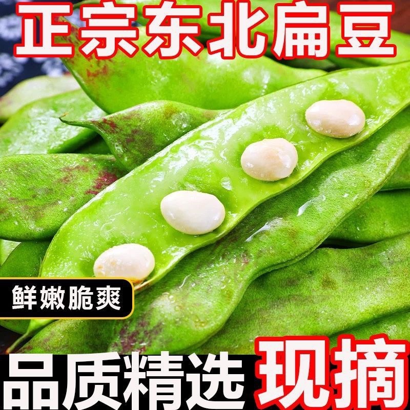 云南一点红油豆角一件代发3斤5斤支持各大平台批发