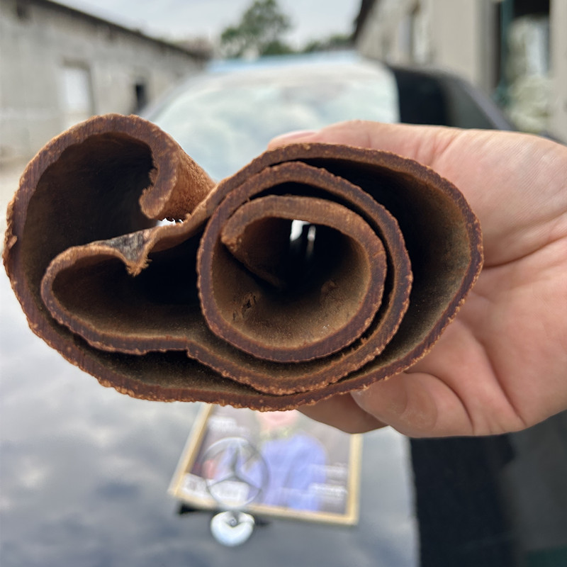 肉桂中药材肉桂片香料桂皮丝肉桂泡茶非特级正品干货
