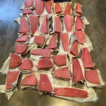 金枪鱼块金枪鱼排金枪鱼条自助餐食材金枪鱼肉海鲜批发海鱼