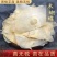 木蝴蝶批发木蝴蝶产地直销一手货源各规格齐全量大从优