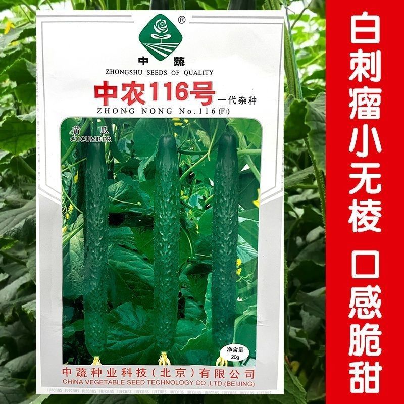 中蔬中农116黄瓜种子高产长绿心黄瓜顺直早熟绿瓤大田基