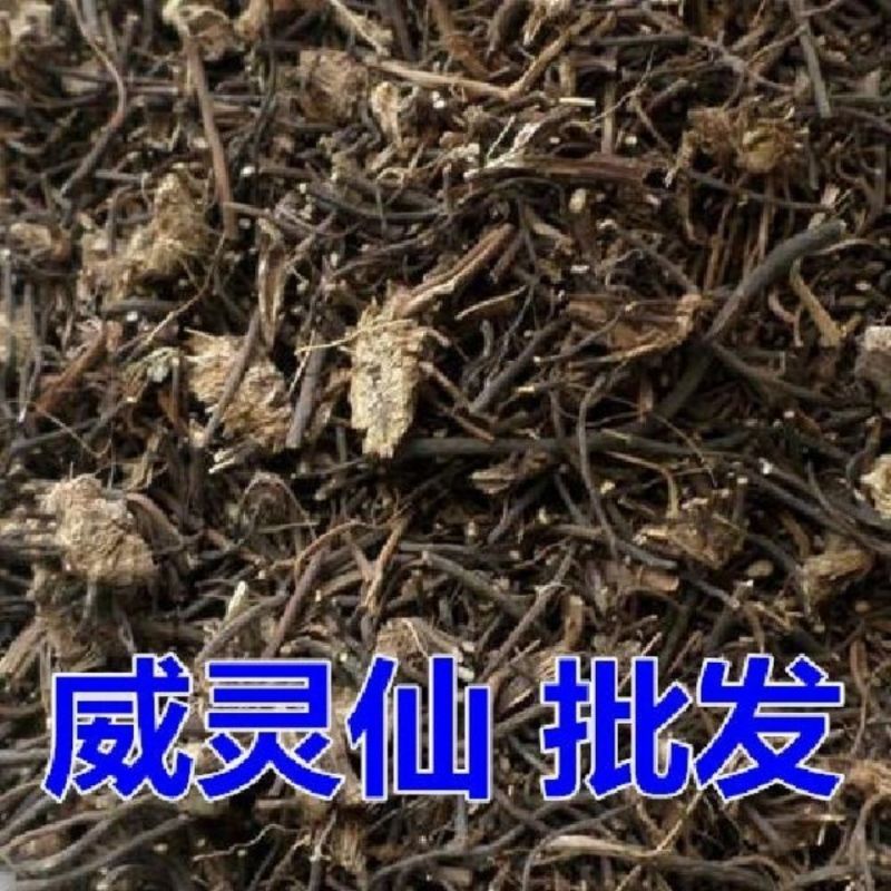 威灵仙老虎须中药材威灵仙代客打粉现货量大从优