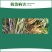 黄龙穗喜24%噻呋酰胺悬浮剂水稻小麦纹枯病白术白绢病杀菌